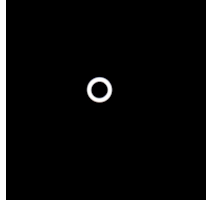 0300167