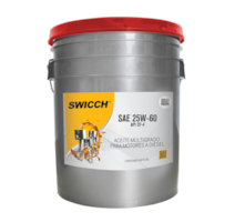 SW25W60/19L
